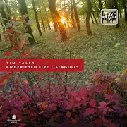 Tim Taler Amber Eyed Fire